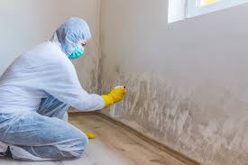 Best Residential Mold Inspection & Testing  in Cera, AL